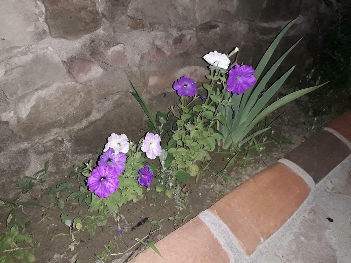Hotel Rabati Akhaltsikhe  Exteriör bild